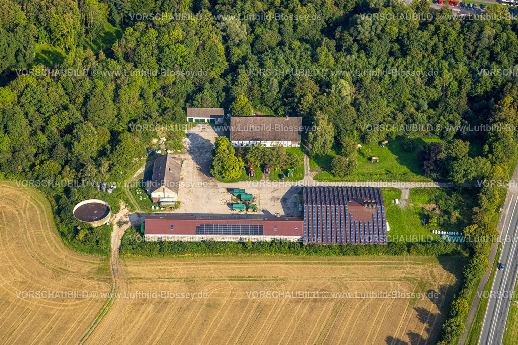Beckum230805479 | Luftbild, Landwirtschaftlicher Betrieb Gut Friedrichshorst, Neubeckum, Beckum, Münsterland, Nordrhein-Westfalen, Deutschland