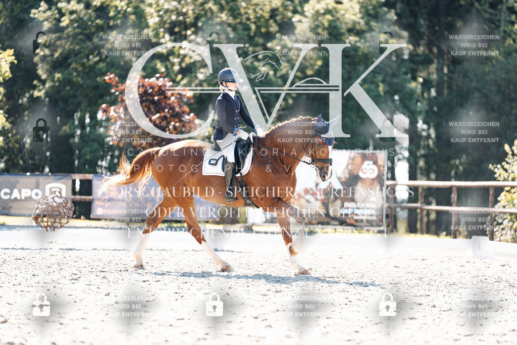 CK905522 | Turnierfotografie Pferdefotografie Trier Rheinland-Pfalz Pferdesport Reitsport Tierfotografie Sportfotografie Pferdevideo Pferdevideografie Equestrianvideography equestrianphotography  - Realisiert mit Pictrs.com