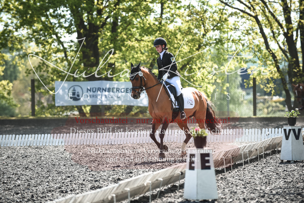 DSC_9011 | Pferde- und Turnierfotografie in Westsachsen. Pferdeportraits, Auftragszeichnungen und intuitive Kunst.