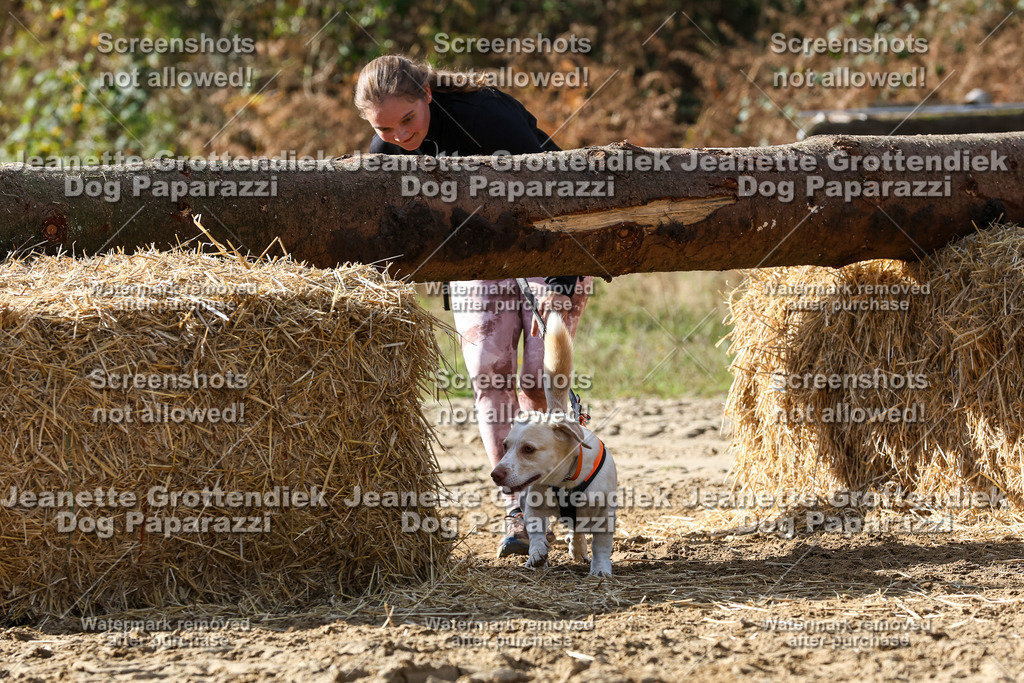 Dog Paparazzi - Strongdog 10-25-5502 | Dog Paparazzi Jeanette Grottendiek Fotografie & Videografie - Realisiert mit Pictrs.com
