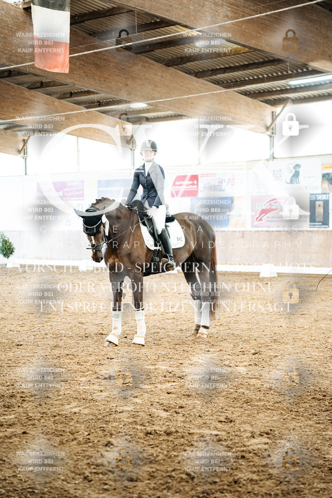CK703033 | Turnierfotografie Pferdefotografie Trier Rheinland-Pfalz Pferdesport Reitsport Tierfotografie Sportfotografie Pferdevideo Pferdevideografie Equestrianvideography equestrianphotography  - Realisiert mit Pictrs.com
