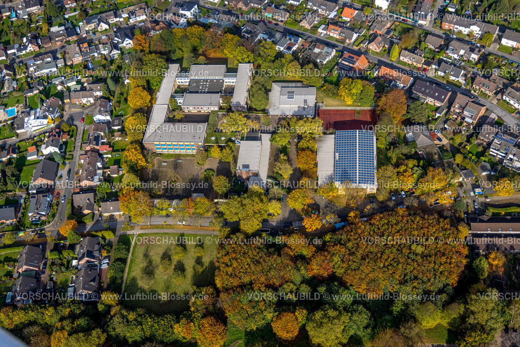 Herne241015766 | Luftbild, Erich-Fried-Gesamtschule, Sporthalle mit Solardach und Sportplatz, herbstliche Bäume, Holsterhausen, Herne, Ruhrgebiet, Nordrhein-Westfalen, Deutschland