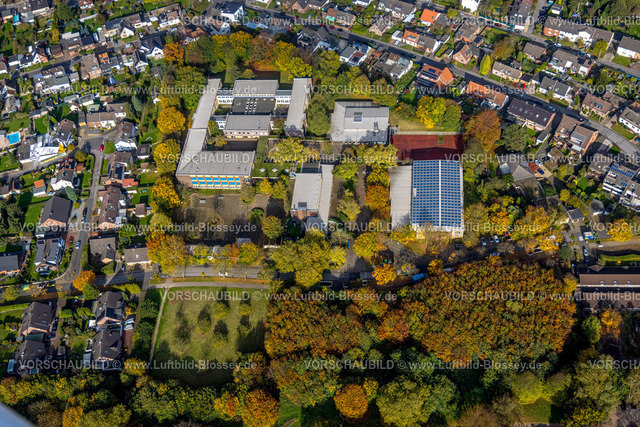 Herne241015766 | Luftbild, Erich-Fried-Gesamtschule, Sporthalle mit Solardach und Sportplatz, herbstliche Bäume, Holsterhausen, Herne, Ruhrgebiet, Nordrhein-Westfalen, Deutschland