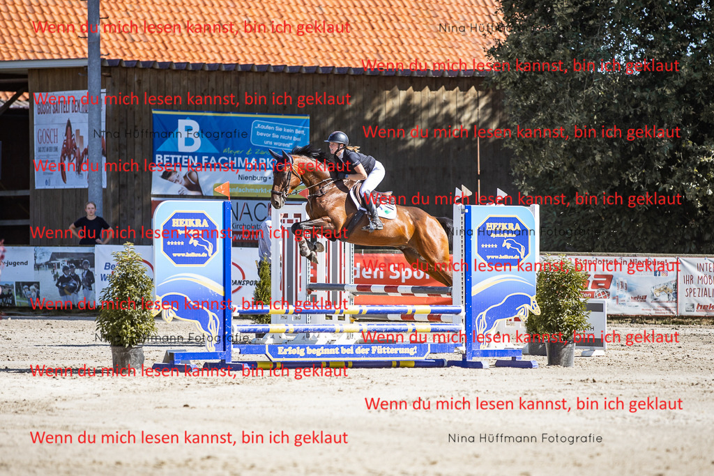 BK1A7891 | Turnierbilder Turnierfotos Nina Hüffmann Turnierfotografie Pferdefotografie Tierzeichnung Haustierzeichnung Pferdezeichnung Hundezeichnung Videograf  - Realisiert mit Pictrs.com