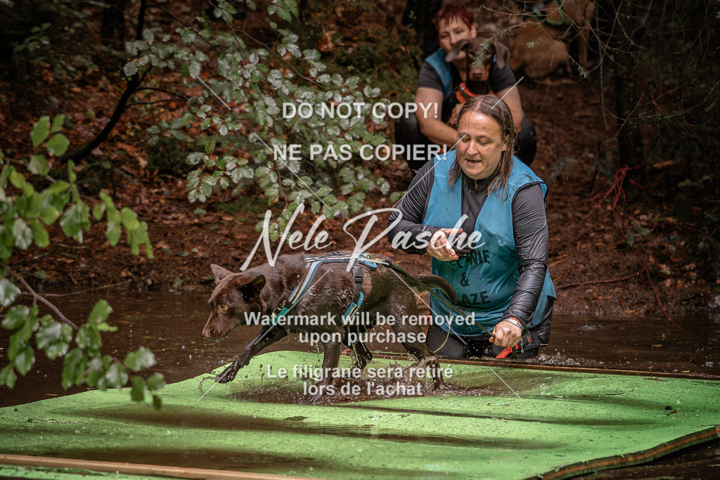 nelerasche_Wingst_Sa1330-1400_47 | nelerasche
