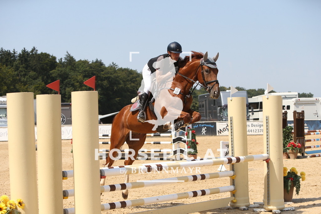 DL2Q0992 | Willkommen bei Brunnmayr - Design & Fotografie – Ihrem Spezialisten für Reitturniere und Pferdeveranstaltungen in Oberösterreich, Salzburg und Bayern! Seit über 17 Jahren sind wir leidenschaftlich dabei.