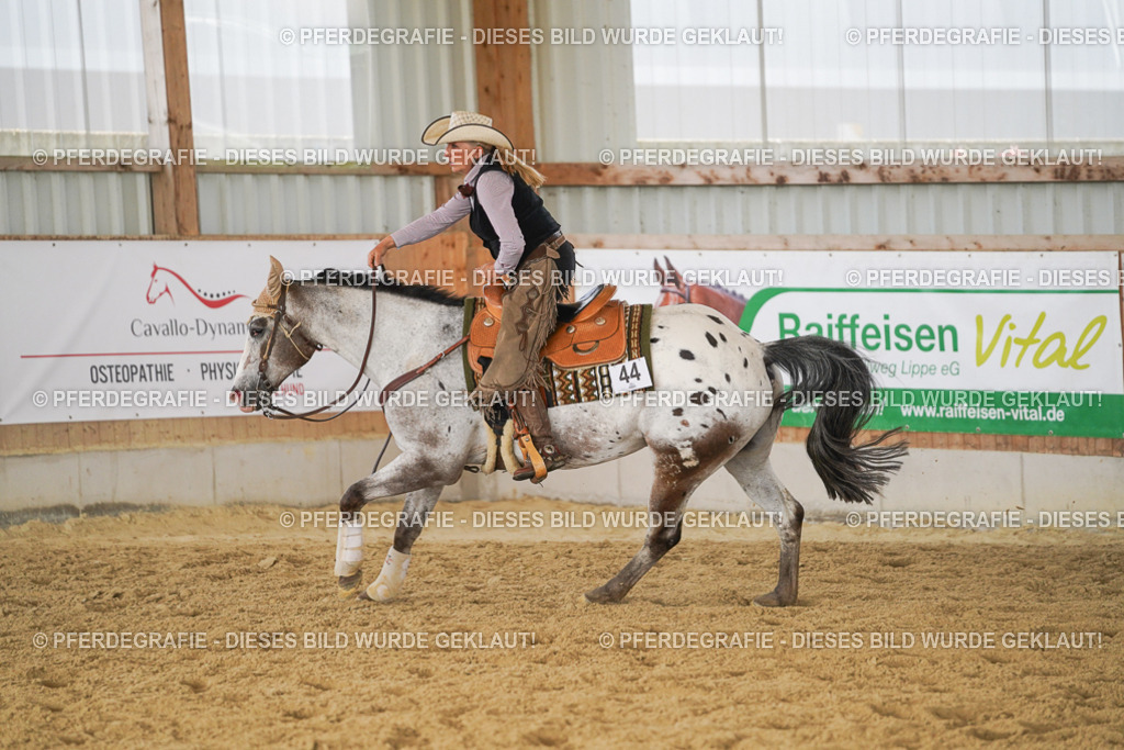 DSC01962 | Pferdegrafie