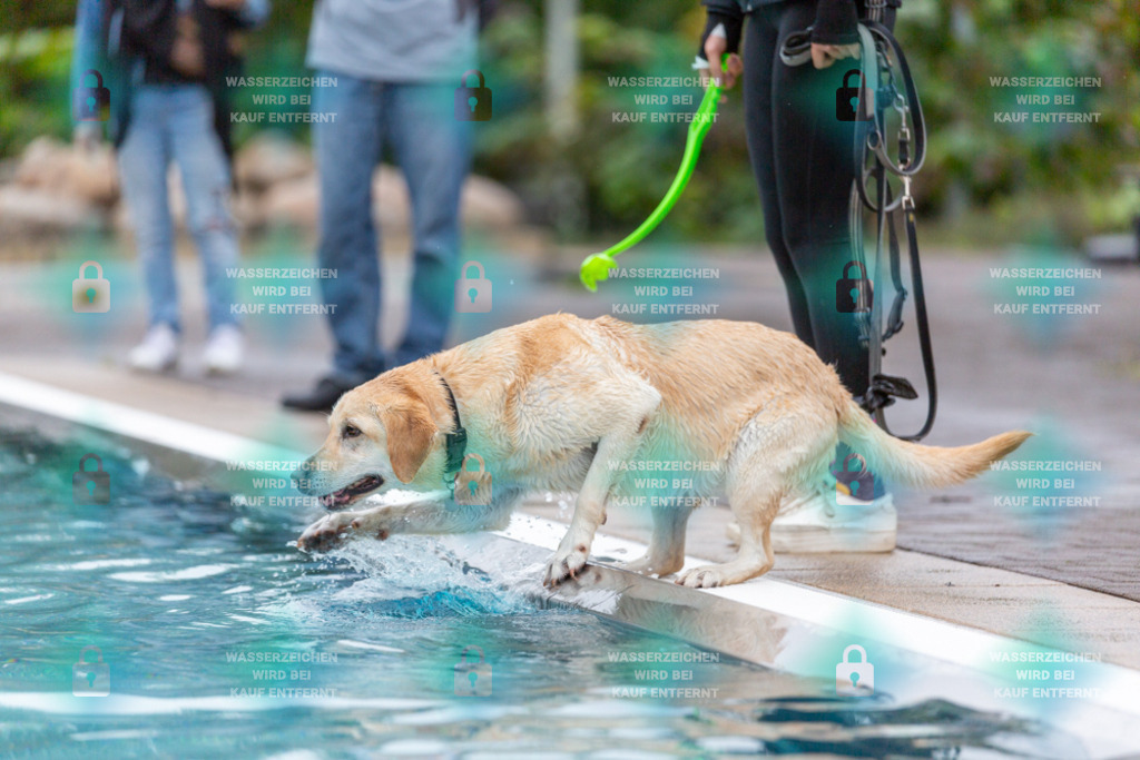 _HP_7142_1000o | HetPix, HetPix Fotodesign, Fotografie, Fotodesign, Webshop, Sportfotografie, Portraitfotografie, Onlineshop, Sportfotografie, Polch, Motorsportfotografie, Eventfotografie