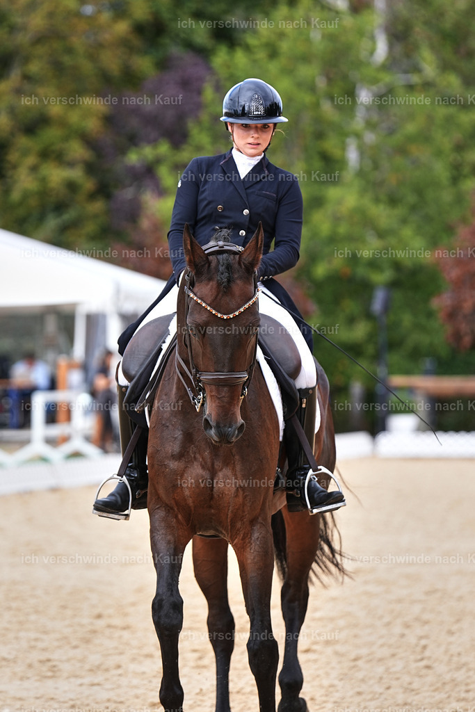 11-066-Dressur S___-Marixx-1653 | working equitationturnier fotograf videograf stoibphotography marixx film working equitation deutschland reitsport turnierfotografie eventfotografie equestrian events