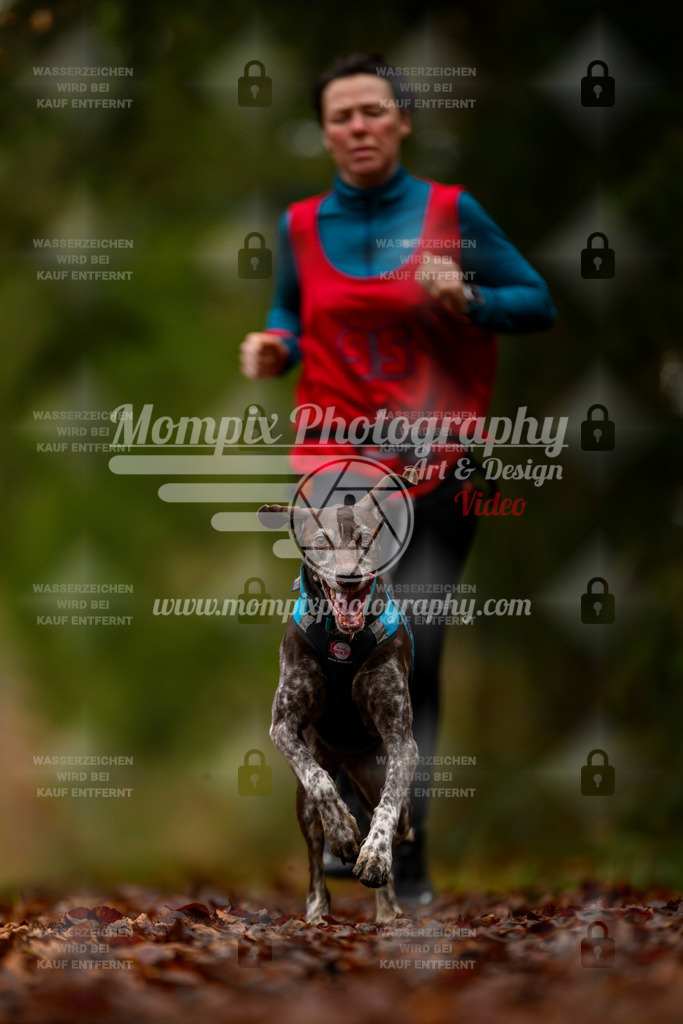 MompixPhotography_2SSTSSBW_2025_SO_Canicross-38 | PayLife