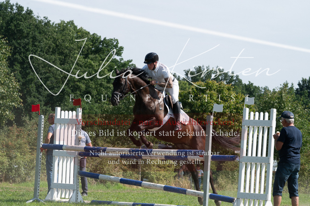 DSC_0796 | Pferde- und Turnierfotografie in Westsachsen. Pferdeportraits, Auftragszeichnungen und intuitive Kunst.