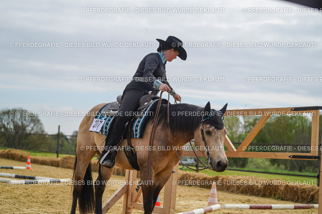 DSC03780 | Pferdegrafie