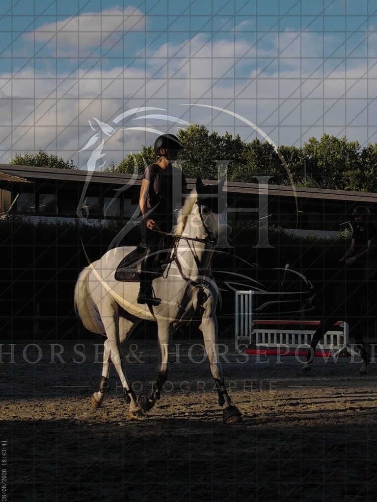 1787942621___C0280086 | handhphotographie - Realisiert mit Pictrs.com