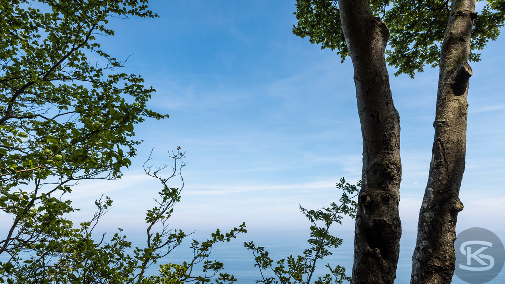 Ausblick über die Ostsee vom Nationalpark Jasmund  | Ausblick von den weißen Kreidefelsen im Nationalpark Jasmund der Insel Rügen über die Ostsee und umgeben von grünem Buchenwald. - Realisiert mit Pictrs.com