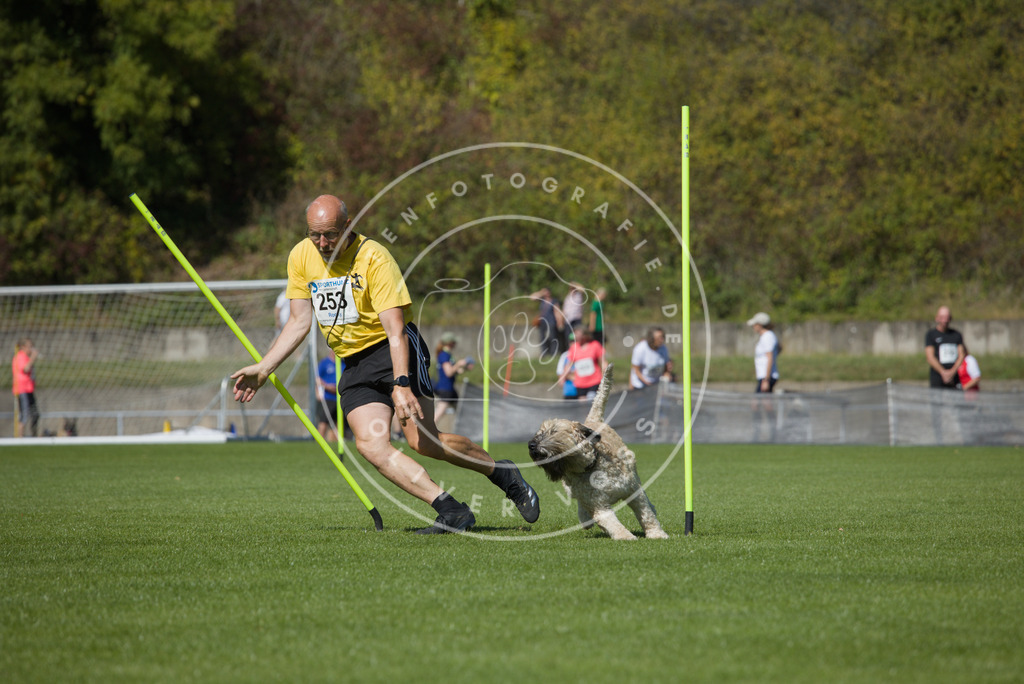 0L8A6331 | Hundefotografie, Tierfotograf, Pfotenfotografie, Fotoshooting Hund, Hunde Portrait, Hundesport, Hundeportraits, Heideshooting, Hunde, Sportfotograf, Hundefotograf, Turnierhundsport, THS,  - Realisiert mit Pictrs.com