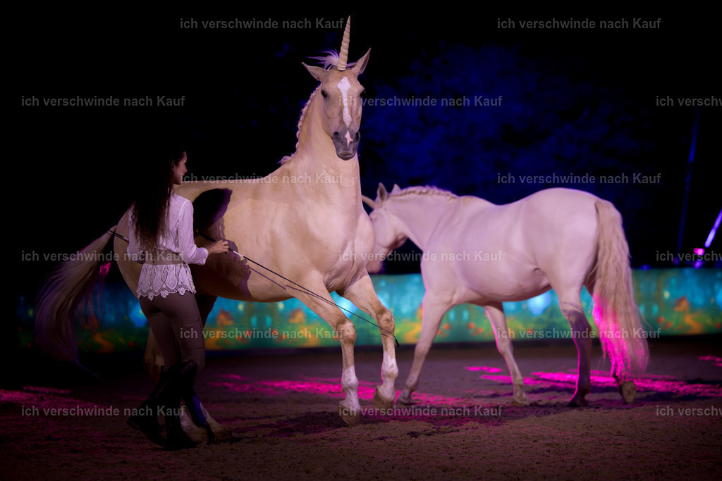 Gala-399 | working equitationturnier fotograf videograf stoibphotography marixx film working equitation deutschland reitsport turnierfotografie eventfotografie equestrian events