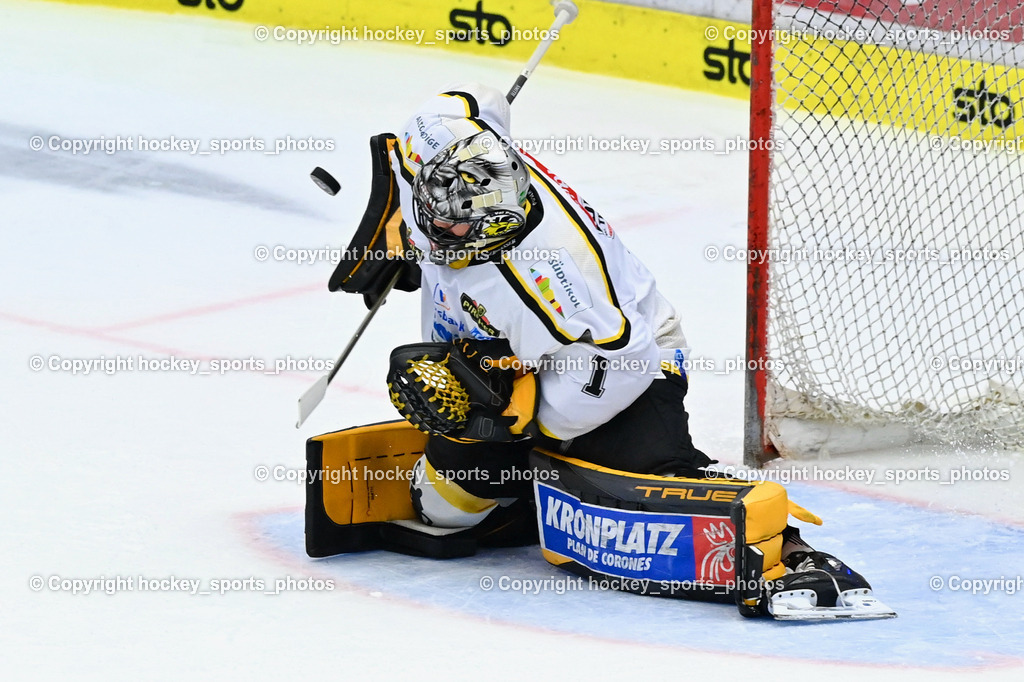 EC IDM Wärmepumpen VSV vs. HC Pustertal 8.10.2023 | #1 SMITH Jacob HC Pustertal, EC IDM Wärmepumpen VSV vs. HC Pustertal 8.10.2023, EC IDM Wärmepumpen VSV vs. HC Pustertal am 08.10.2023 in Villach (Stadthalle Villach), Austria, (Photo by Bernd Stefan)