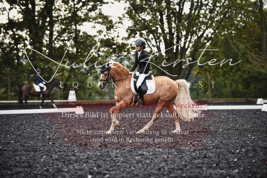 DSC_3836 | Pferde- und Turnierfotografie in Westsachsen. Pferdeportraits, Auftragszeichnungen und intuitive Kunst.