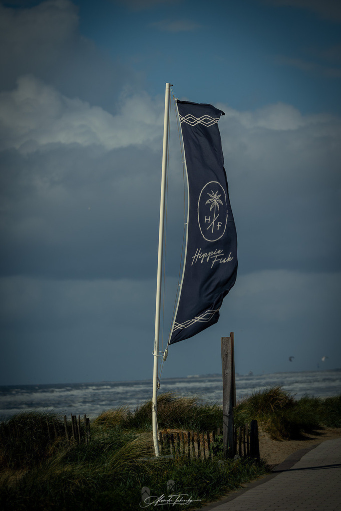 Trankday Zandvoort 2026 | Entdecken Sie die faszinierende Welt von Alexander Tschuncky Arts: Kreative Fotografie, atemberaubende Automobilkunst und hochwertiger Bilderdruck. Lassen Sie sich inspirieren! - Realisiert mit Pictrs.com