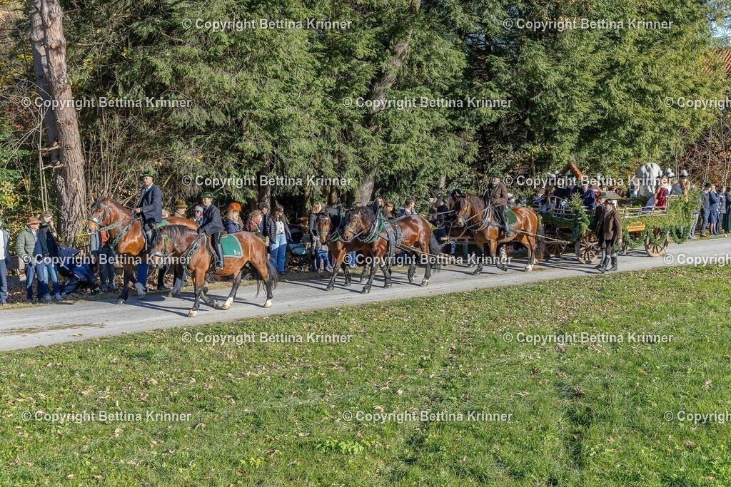 LBT25-512 | foto-bettina-krinner - Realisiert mit Pictrs.com