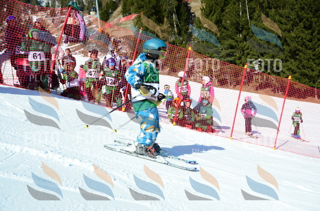 C4835 | holidayphoto