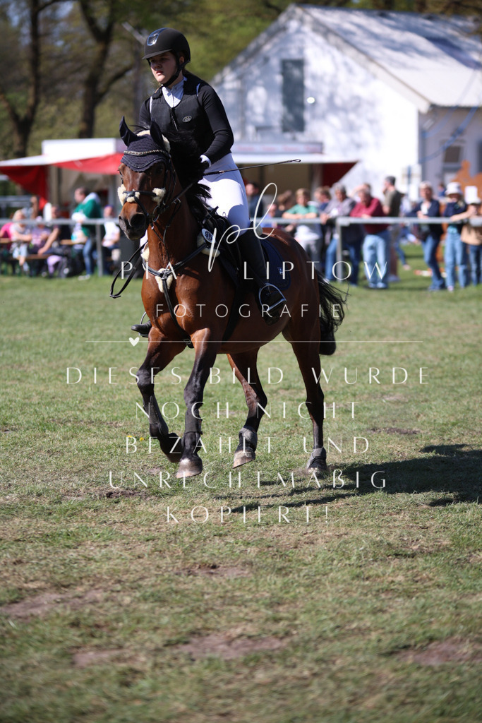 IMGT8943 | pl-fotografie