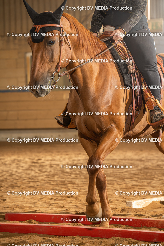 NID02639 | dv-media-shop - Realisiert mit Pictrs.com