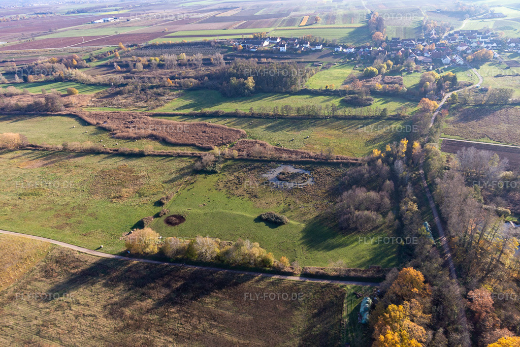Luftbild: Billigheimer Bruch, Erlenbachtal zwischen Barbelroth, Hergersweiler und Winden im Ortsteil Mühlhofen in Billigheim-Ingenheim im Bundesland Rheinland-Pfalz in Deutschland. Foto: IMG_123875.jpg vom 21.11.2020 durch Werner Riehm/FLY-FOTO.de