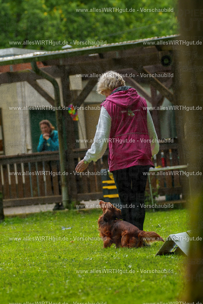 @allesWIRTHgut_Tierfotografie - www.allesWIRTHgut.de - 091006-7R506647 | Professionelle Tierfotografie in Mönchengladbach von Daniel Wirth (allesWIRTHgut). Liebevolle & natürliche Bilder von Hunden & Katzen für unvergessliche Erinnerungen.