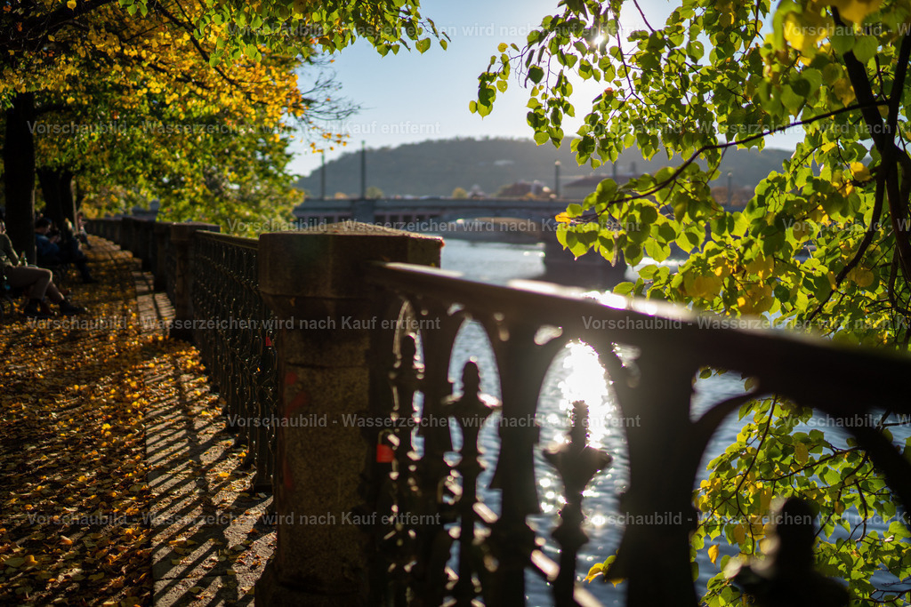 DSC03651 | marcuslinek