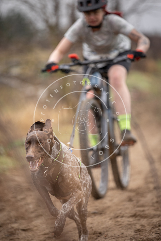 DV3A8927 | Hundefotografie, Tierfotograf, Pfotenfotografie, Fotoshooting Hund, Hunde Portrait, Hundesport, Hundeportraits, Heideshooting, Hunde, Sportfotograf, Hundefotograf, Turnierhundsport, THS,  - Realisiert mit Pictrs.com