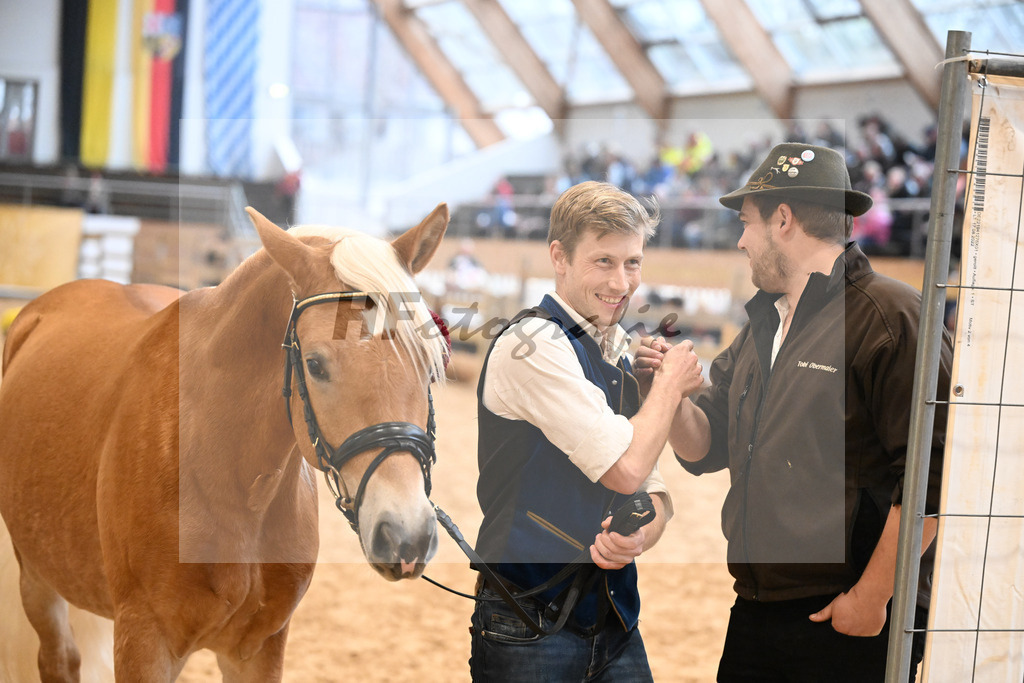 Kat-Nr. 23 Maverick v. Manu_Lechner_48251738 | hf-fotografie - Realisiert mit Pictrs.com