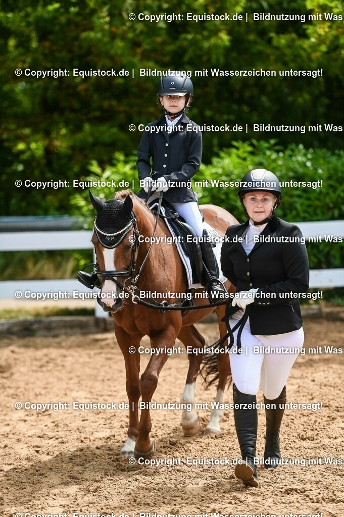 20230716_11_Führzügel-WB_0193 | equistock