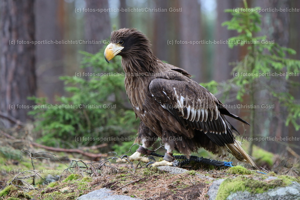 2X5A4283 | fotos-sportlich-belichtet - Realisiert mit Pictrs.com