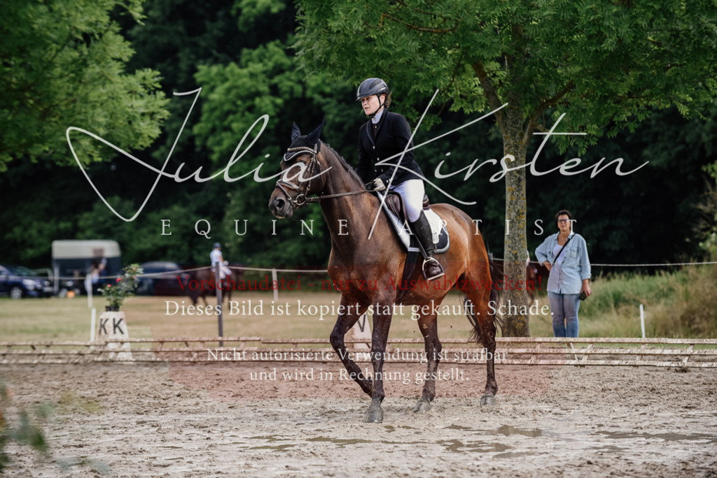 DSC_0785 | Pferde- und Turnierfotografie in Westsachsen. Pferdeportraits, Auftragszeichnungen und intuitive Kunst.