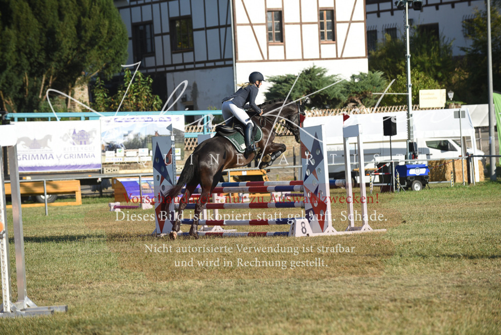 DSC_4954 | Pferde- und Turnierfotografie in Westsachsen. Pferdeportraits, Auftragszeichnungen und intuitive Kunst.