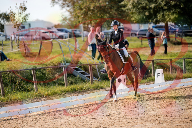 2026_10_03_Siefer-Hof_131713_Z63_78880144 | Professionelle Reitsport-, Turnier- und Eventfotografie von Robert Broda. Galerien mit ausgewählten und bearbeiteten Bildern direkt online ansehen und bestellen.