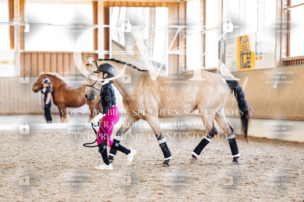 CK907197 | Turnierfotografie Pferdefotografie Trier Rheinland-Pfalz Pferdesport Reitsport Tierfotografie Sportfotografie Pferdevideo Pferdevideografie Equestrianvideography equestrianphotography  - Realisiert mit Pictrs.com