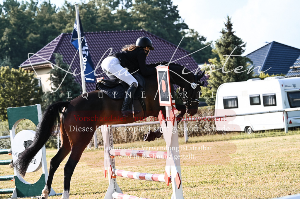 DSC_7585 | Pferde- und Turnierfotografie in Westsachsen. Pferdeportraits, Auftragszeichnungen und intuitive Kunst.