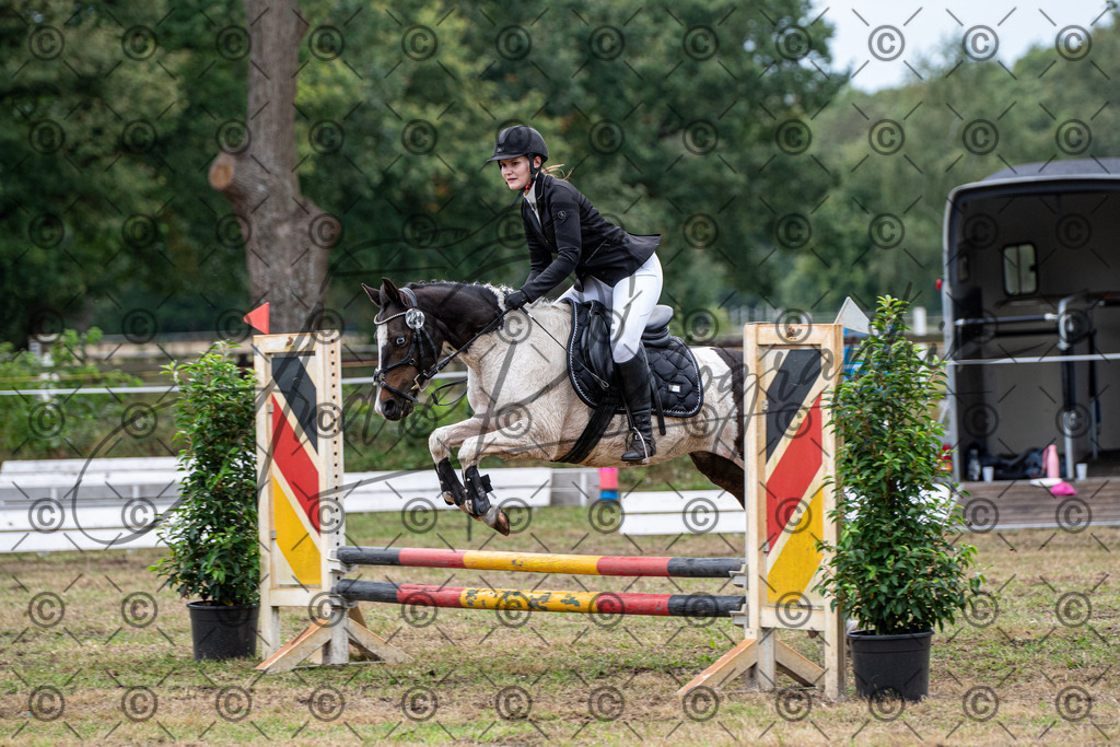 SHT_7677 | andre_photographic