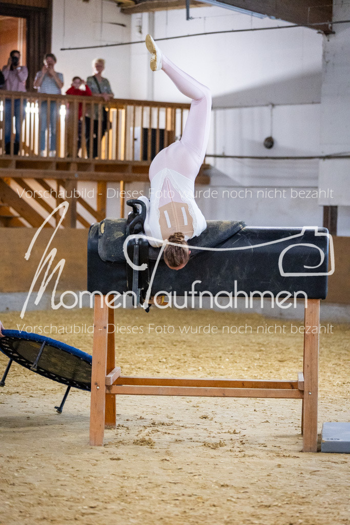 Holzpferd-099 | MomenTaufnahmen Pferdesportfotos