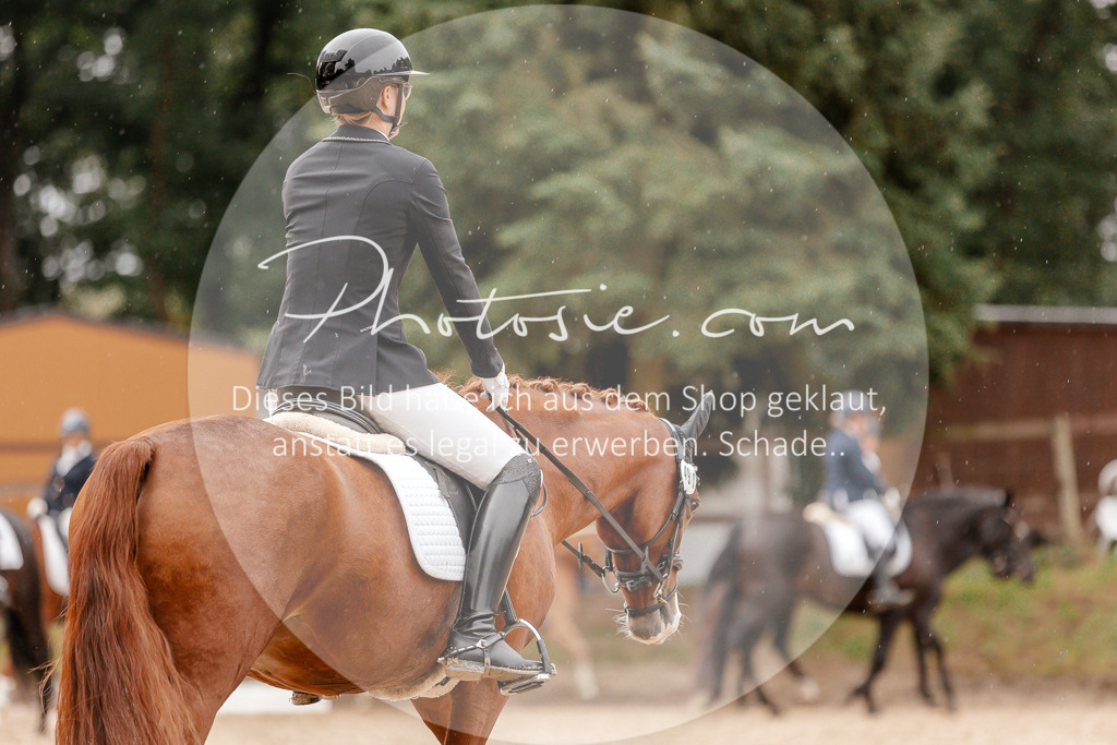 3I6A5967 | Stimmungsvolle Portraits und Reitsportfotografie im Ruhrgebiet und im Münsterland.

Pferdefotografie, Hundefotografie, Tierfotografie, Reportagen, Portraits von Tier und Mensch, Turnierfotografie in Bochum, Recklinghausen, Marl, Haltern am See, Dülmen.. - Realisiert mit Pictrs.com