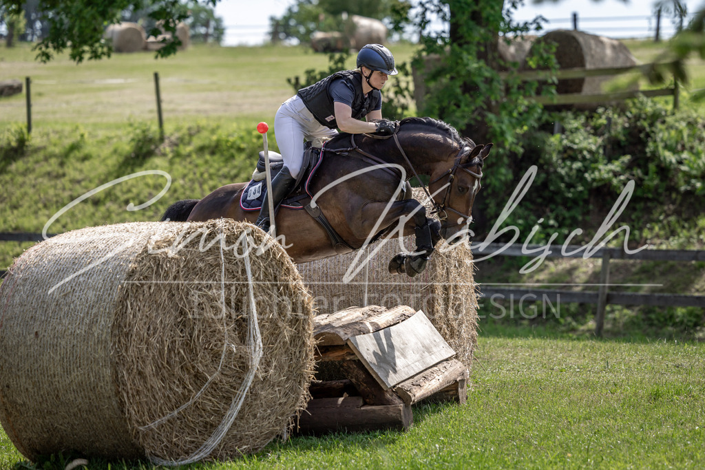 20260523-_3LI9130 | Tierfotografie Pferde, Hunde, Katzen, Haustiere.
Turnierfotografie Reitturniere, Reiten, Springreiten, Dressur in Hanau, dem Main-Kinzig-Kreis und dem Rhein-Main- Gebiet um Frankfurt