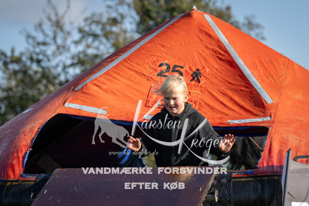 1446-94937 | kk-dogfotos