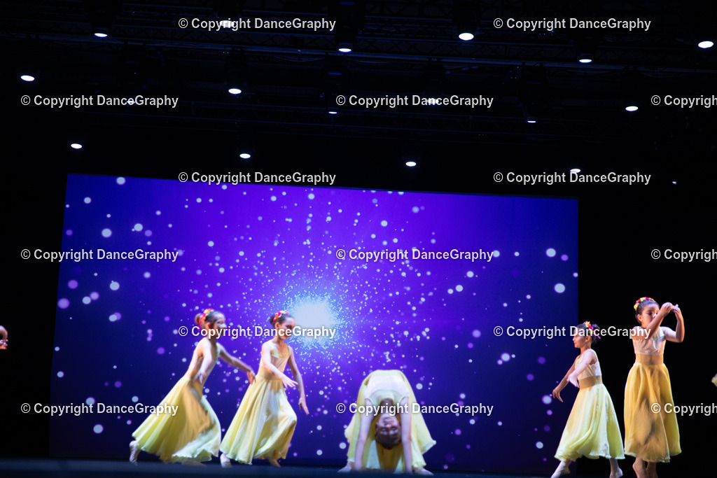 GPHY4739 | DanceGraphy - Realisiert mit Pictrs.com