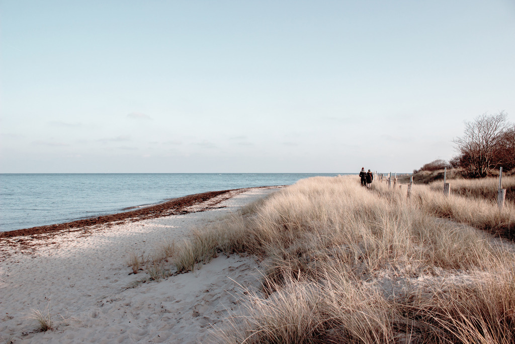Wandbild: Spaziergang am Meer | Dieses Wandbild im Querformat zeigt Strandhafer am Sandstrand. In der Ferne sind zwei Spaziergänger auf dem Wanderweg zu sehen. Das Meer und der Himmel sind dezent hellblau. Sie möchten Ihre Wände dezent aber stilvoll und elegant dekorieren? Dann kaufen Sie sich dieses maritime Wandbild. Es ist auf Leinwand, Aluminium-Platte, Acrylglas oder als Holzdruck erhältlich. Die Wandbilder werden individuell für Sie in vielen Abmessungen produziert. Daher passen die Ostseekult Wandbilder immer perfekt an Ihre Wände. - Realisiert mit Pictrs.com