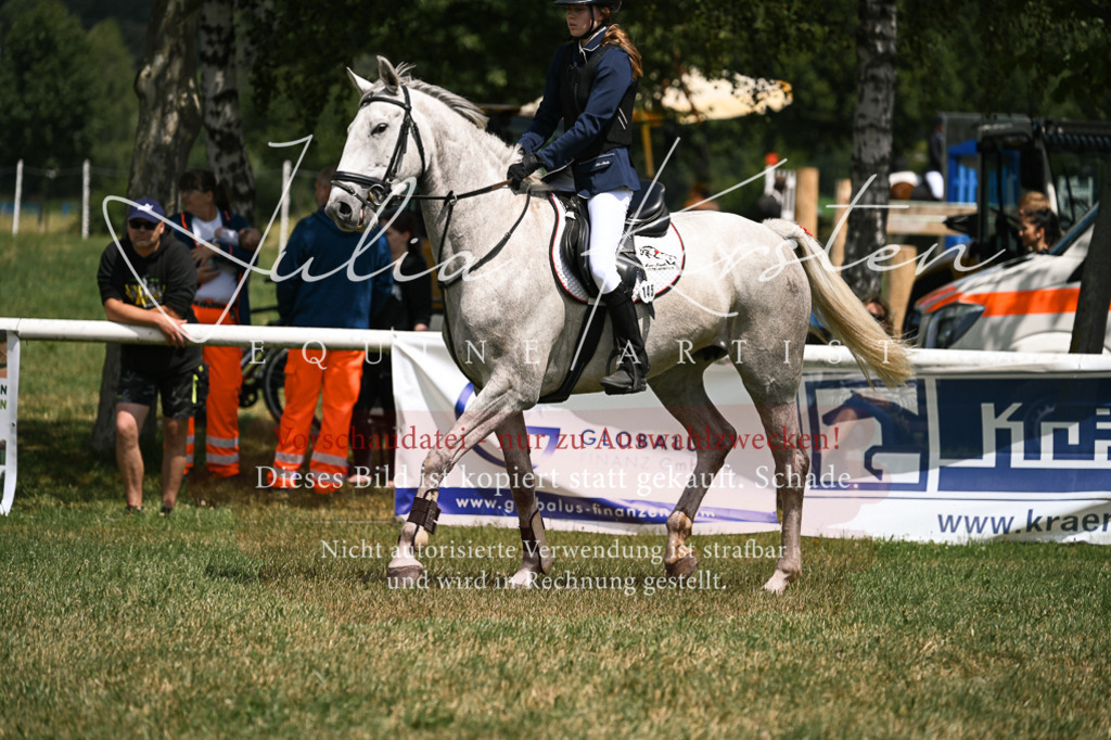 DSC_9293 | Pferde- und Turnierfotografie in Westsachsen. Pferdeportraits, Auftragszeichnungen und intuitive Kunst.
