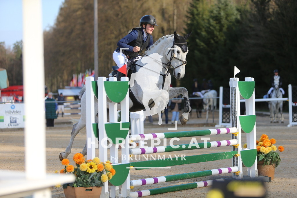 DL2Q4252 | Willkommen bei Brunnmayr - Design & Fotografie – Ihrem Spezialisten für Reitturniere und Pferdeveranstaltungen in Oberösterreich, Salzburg und Bayern! Seit über 17 Jahren sind wir leidenschaftlich dabei.