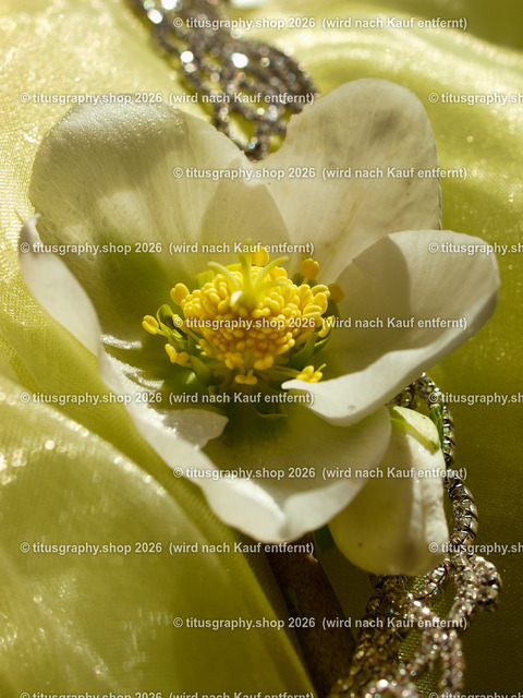 titusgraphy_P2244228-vz-ln | titusgraphy-shop: Geschenkideen mit Qualitätsfotos. titusgraphy-shop: gift ideas with quality photos. titusgraphy-shop: idées cadeaux avec photos de qualité.  - Realisiert mit Pictrs.com