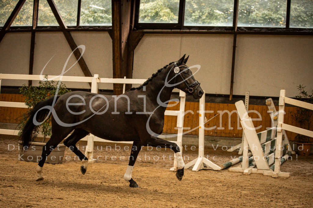 1FS_L00094 | Leoni Ertmer Photography - Realisiert mit Pictrs.com